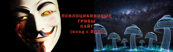 сатива Верхнеуральск