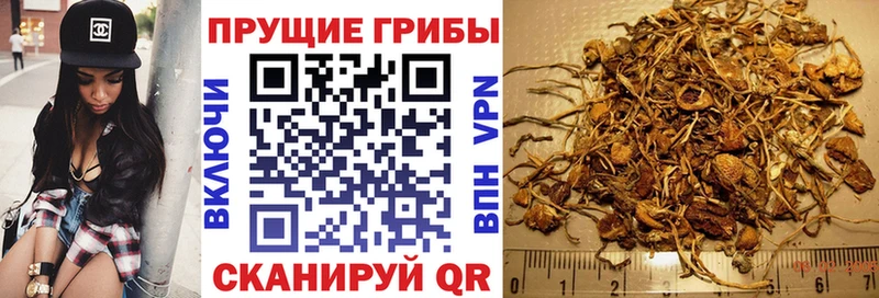 Галлюциногенные грибы Psilocybine cubensis Салават