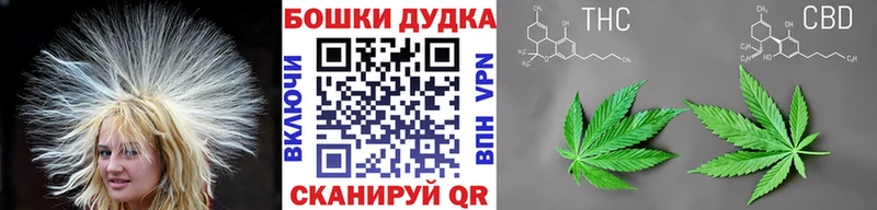 Шишки марихуана индика  купить   Салават 